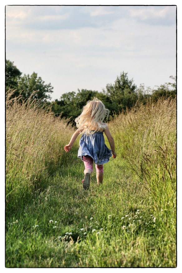 HArvest - saffie path